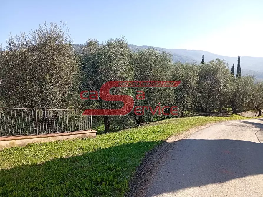 Immagine 7 di Appartamento in vendita  a Serravalle Pistoiese