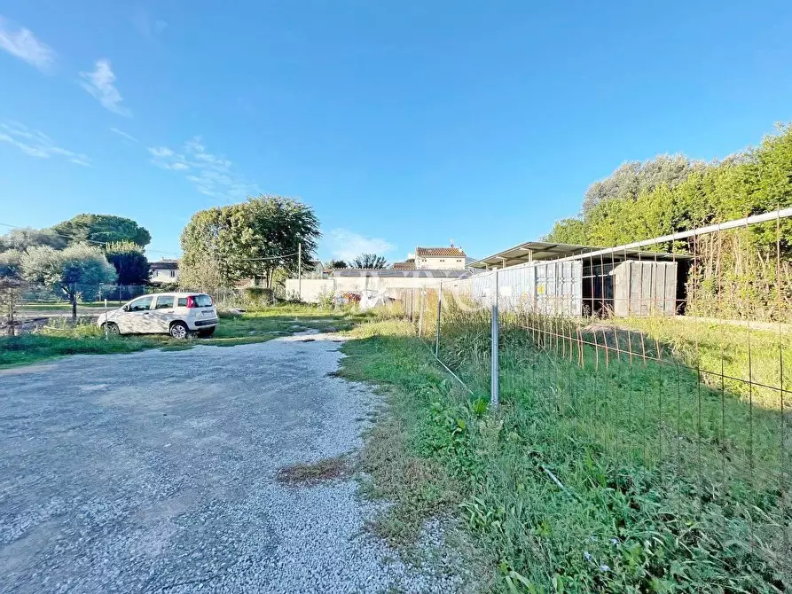 Immagine 13 di Negozio in vendita  a Capannori