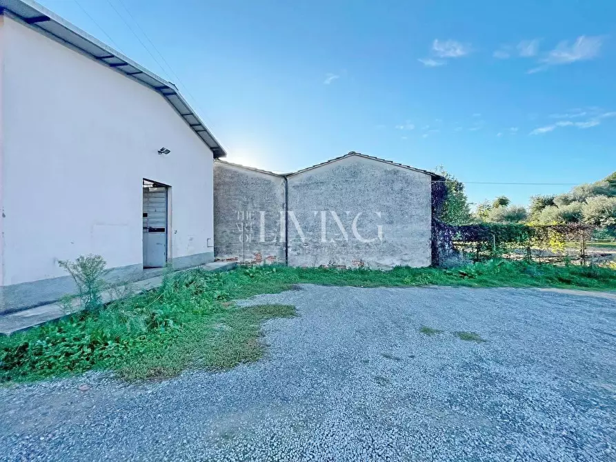 Immagine 11 di Negozio in vendita  a Capannori