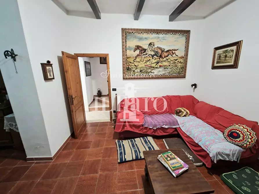 Immagine 6 di Terratetto in vendita  a Campi Bisenzio