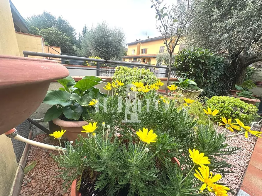 Immagine 47 di Terratetto in vendita  a Campi Bisenzio