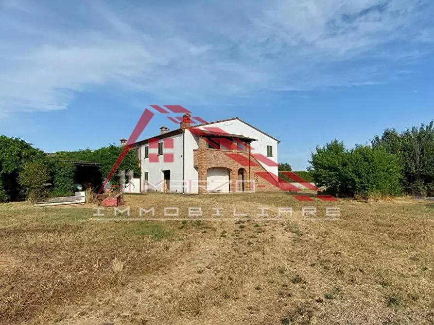 Immagine 2 di Casa colonica in vendita  a Crespina Lorenzana