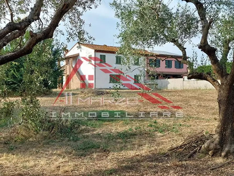 Immagine 3 di Casa colonica in vendita  a Crespina Lorenzana