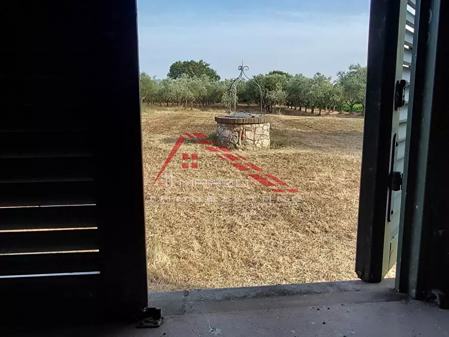 Immagine 10 di Casa colonica in vendita  a Crespina Lorenzana
