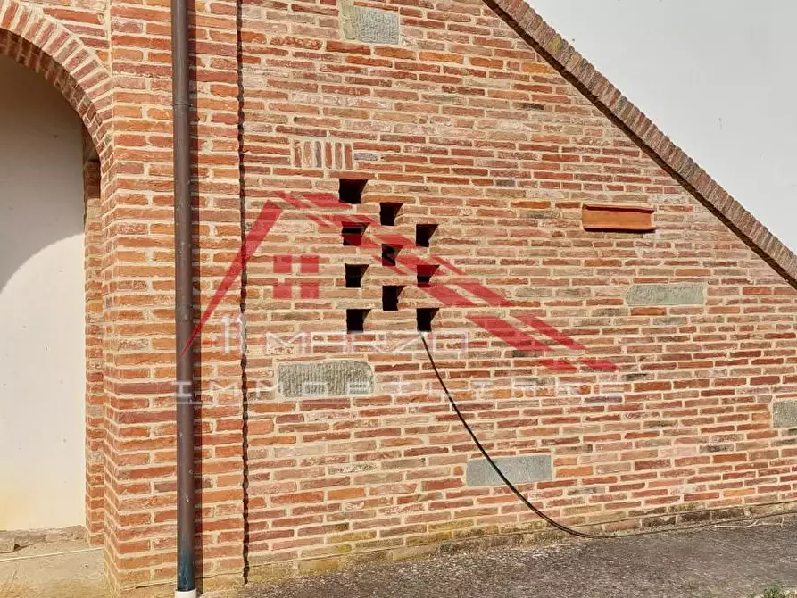 Immagine 5 di Casa colonica in vendita  a Crespina Lorenzana