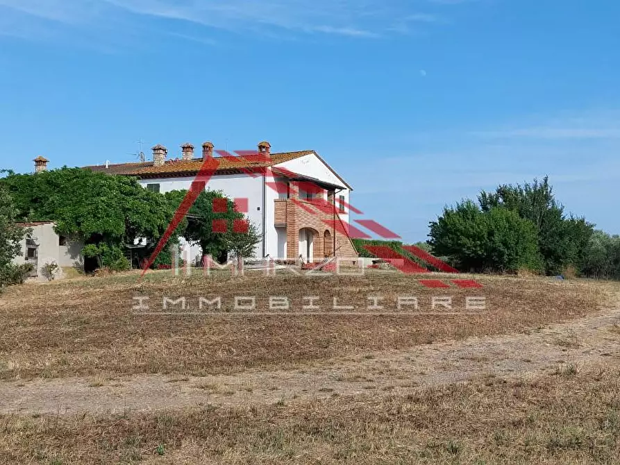 Immagine 15 di Casa colonica in vendita  a Crespina Lorenzana