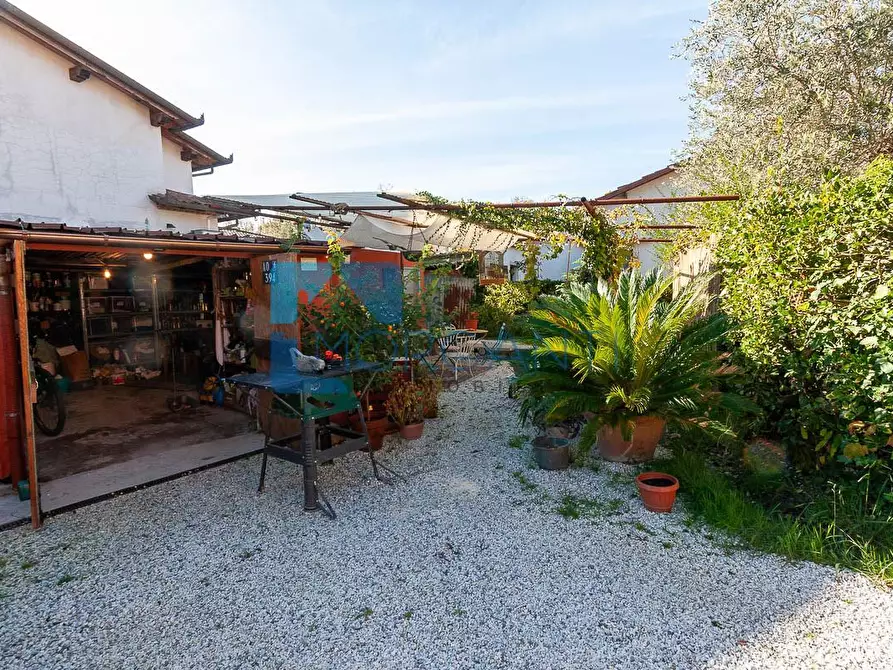 Immagine 17 di Terratetto in vendita  a Pietrasanta