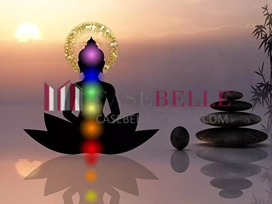 Immagine 2 di Attività commerciale in vendita  a Camaiore