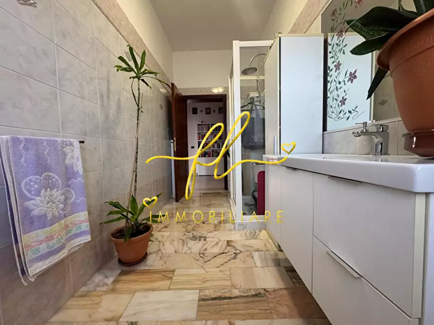 Immagine 18 di Appartamento in vendita  a Collesalvetti