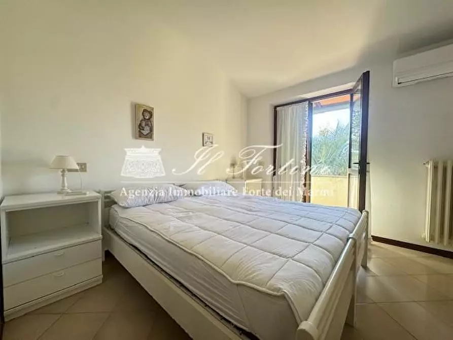 Immagine 20 di Villa in vendita  a Forte Dei Marmi