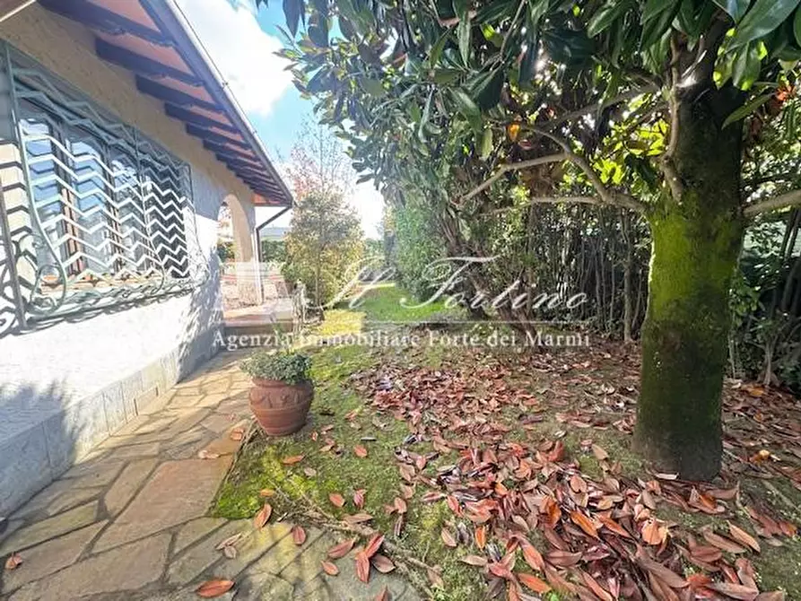 Immagine 7 di Villa in vendita  a Forte Dei Marmi