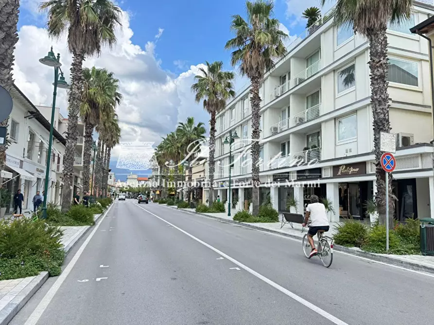 Immagine 32 di Villa in vendita  a Forte Dei Marmi