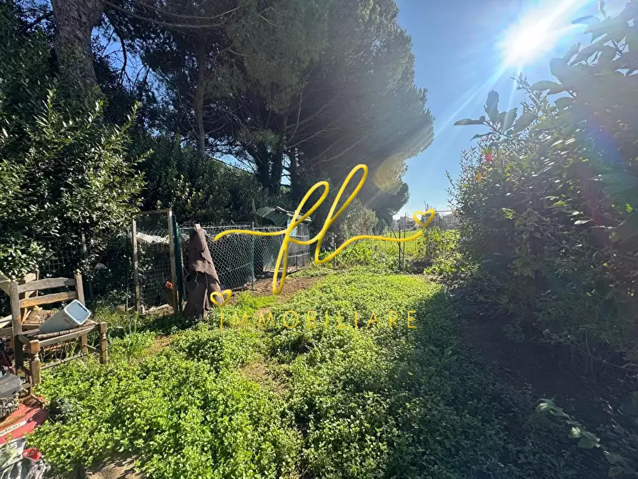 Immagine 35 di Appartamento in vendita  a Collesalvetti