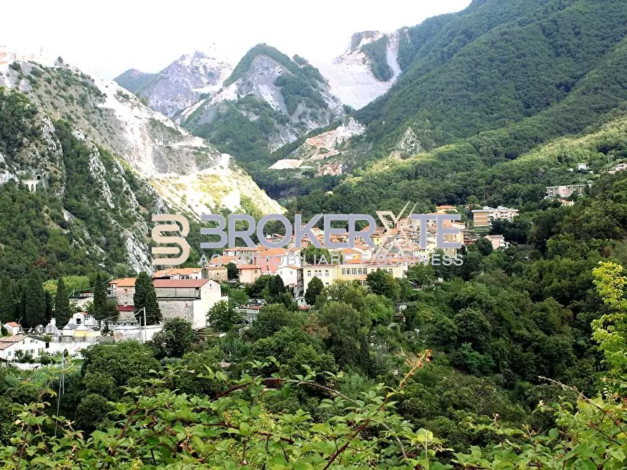 Immagine 20 di Appartamento in vendita  a Carrara