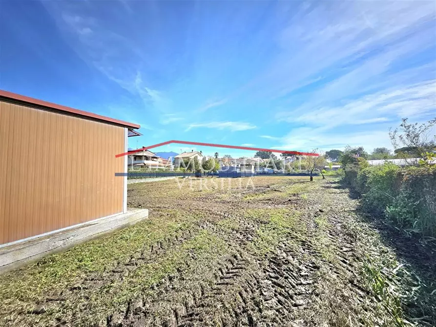 Immagine 9 di Terreno agricolo in vendita  a Massa