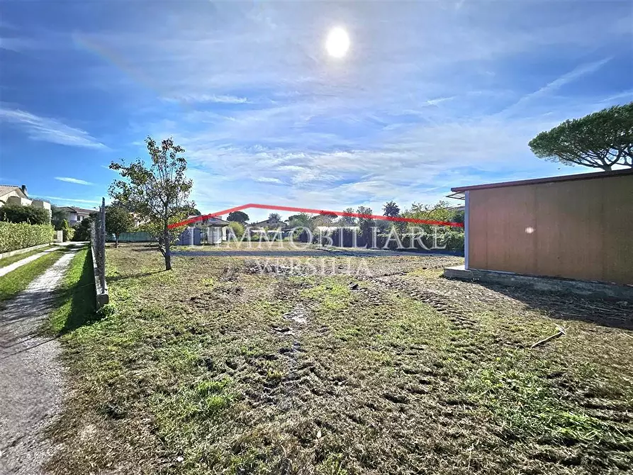 Immagine 6 di Terreno agricolo in vendita  a Massa