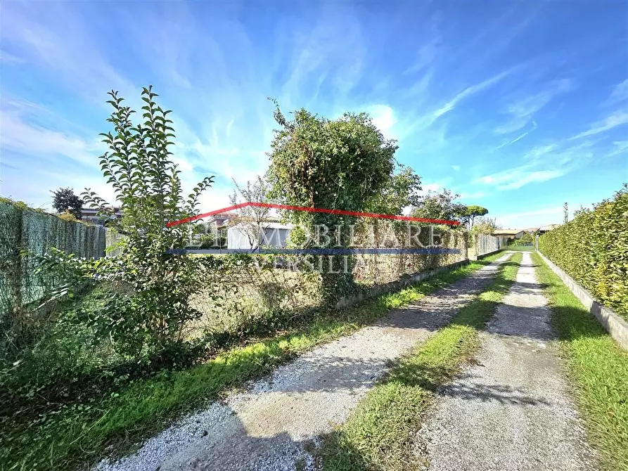 Immagine 17 di Terreno agricolo in vendita  a Massa