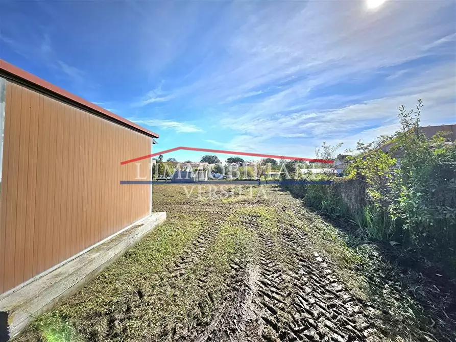 Immagine 7 di Terreno agricolo in vendita  a Massa