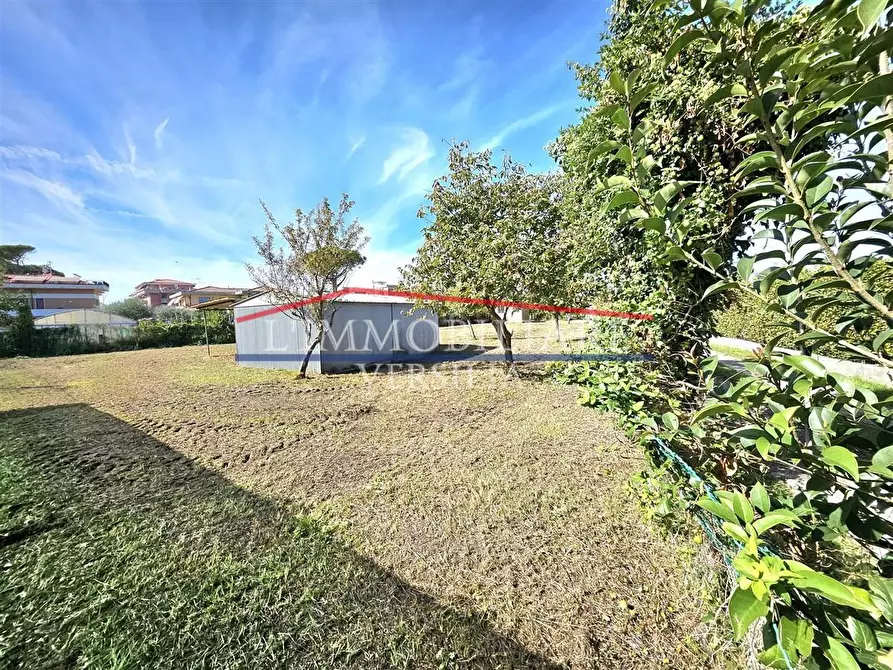 Immagine 14 di Terreno agricolo in vendita  a Massa