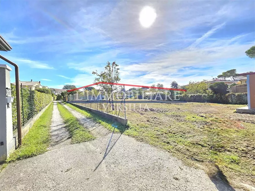 Immagine 15 di Terreno agricolo in vendita  a Massa