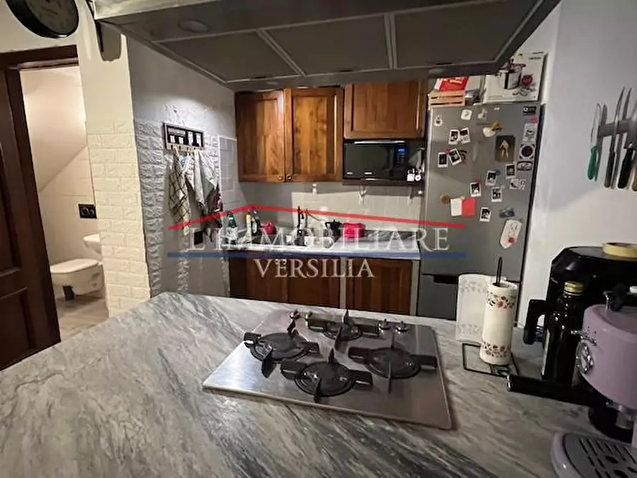 Immagine 50 di Villa in vendita  a Massa