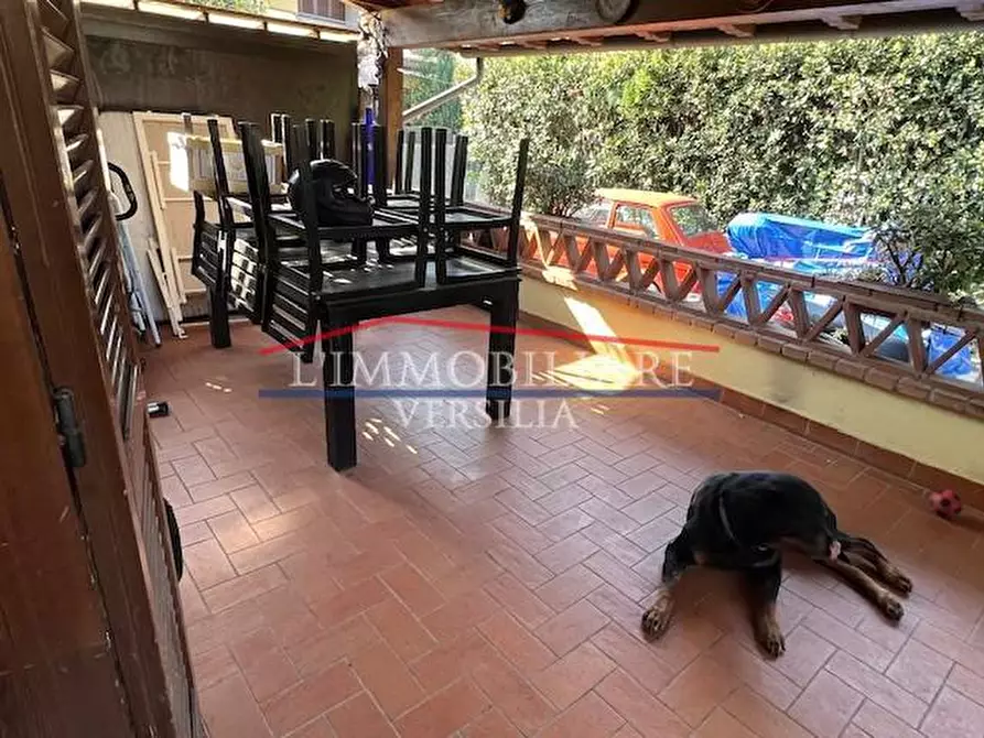 Immagine 15 di Villa in vendita  a Massa