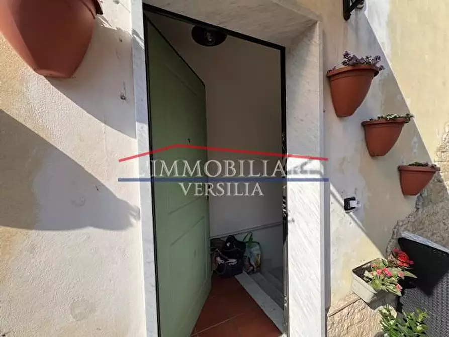 Immagine 44 di Villa in vendita  a Massa