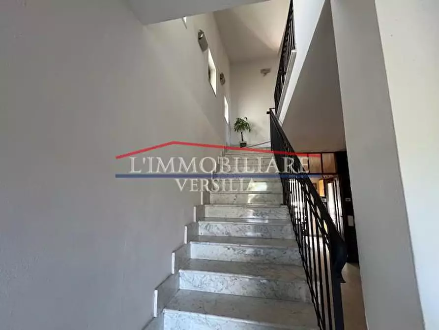 Immagine 22 di Villa in vendita  a Massa