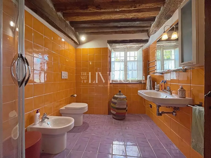 Immagine 22 di Casa colonica in vendita  a Lucca