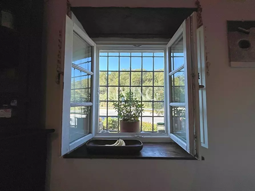 Immagine 15 di Casa colonica in vendita  a Lucca
