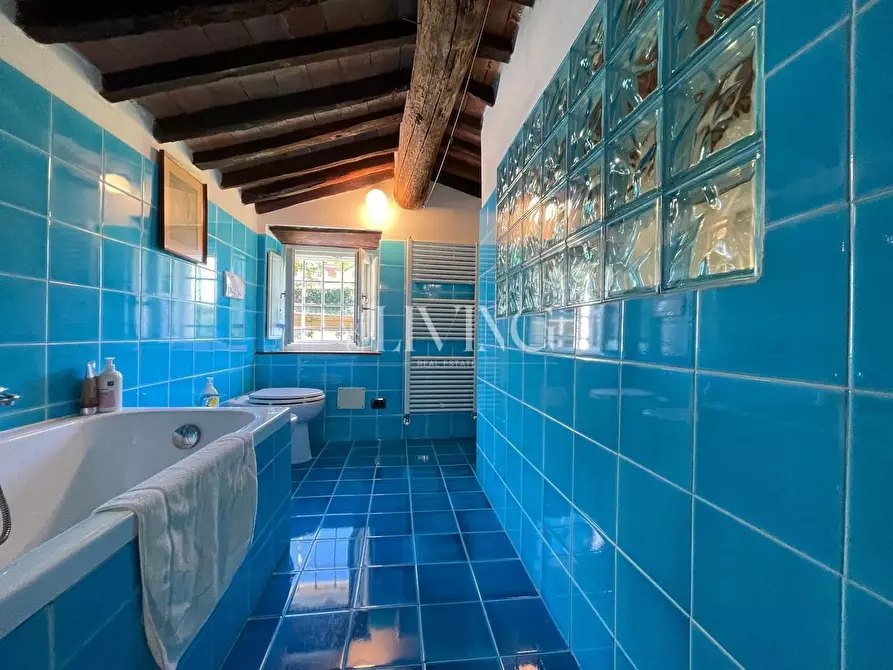 Immagine 27 di Casa colonica in vendita  a Lucca
