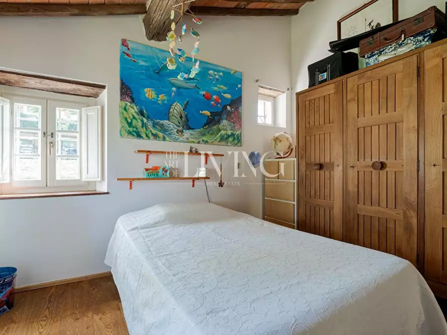 Immagine 13 di Casa colonica in vendita  a Lucca
