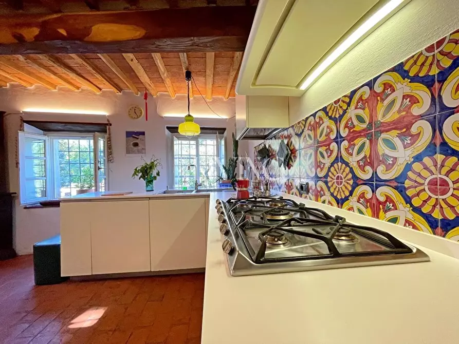 Immagine 14 di Casa colonica in vendita  a Lucca