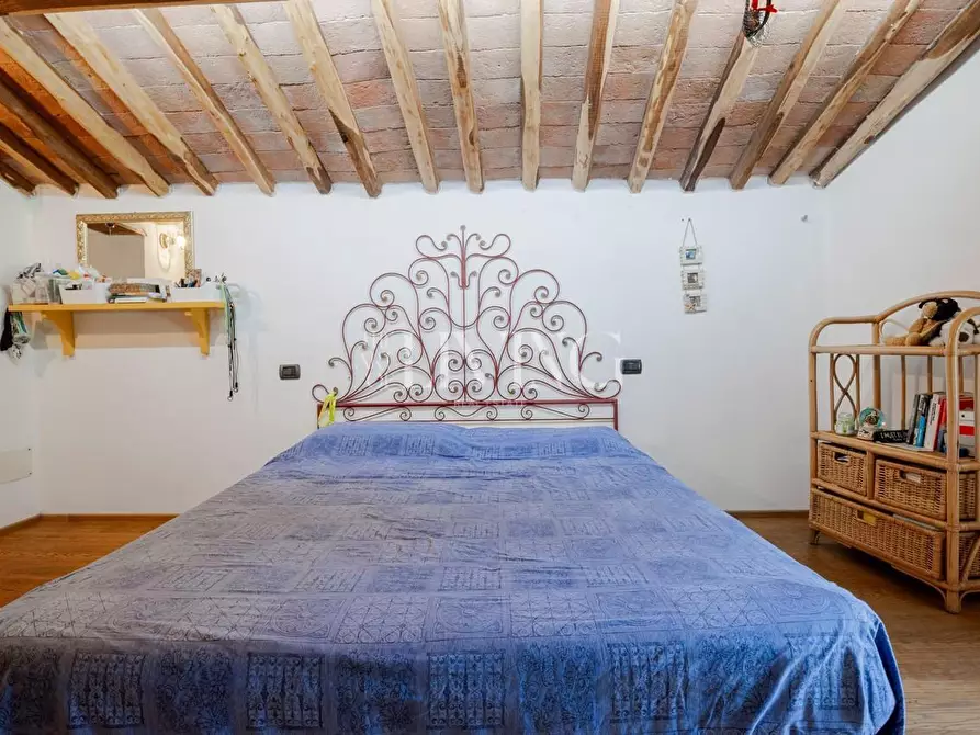 Immagine 16 di Casa colonica in vendita  a Lucca