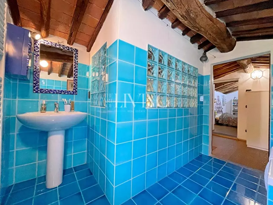 Immagine 28 di Casa colonica in vendita  a Lucca