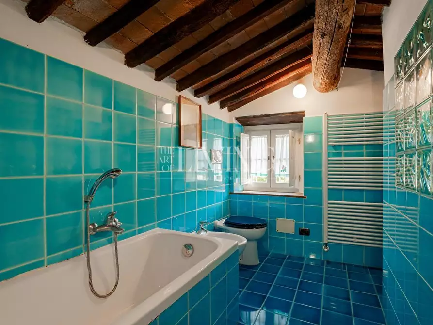 Immagine 18 di Casa colonica in vendita  a Lucca