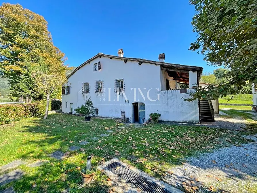 Immagine 39 di Casa colonica in vendita  a Lucca
