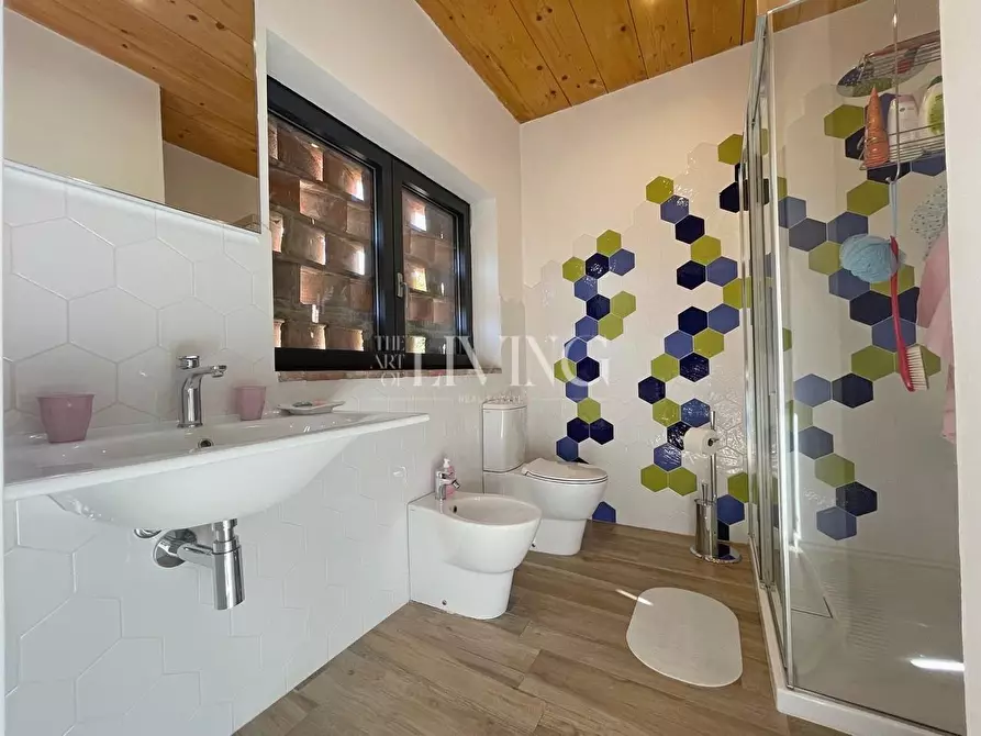 Immagine 63 di Casa colonica in vendita  a Lucca