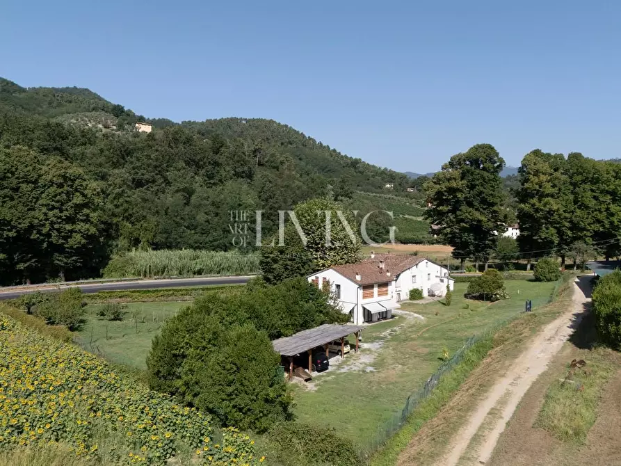 Immagine 28 di Casa colonica in vendita  a Lucca