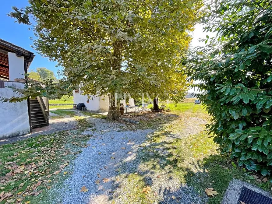 Immagine 66 di Casa colonica in vendita  a Lucca