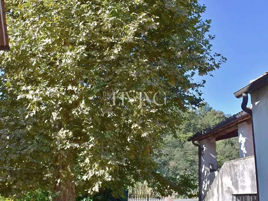 Immagine 2 di Casa colonica in vendita  a Lucca