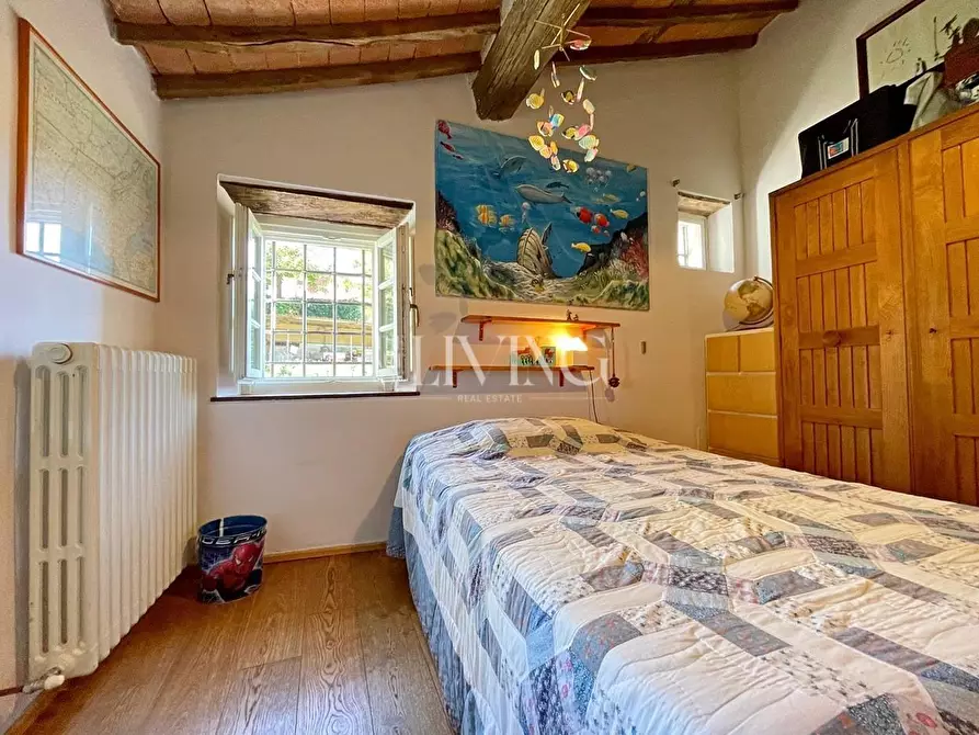 Immagine 17 di Casa colonica in vendita  a Lucca