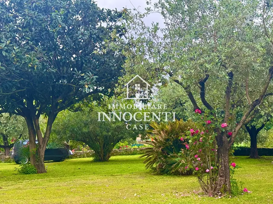 Immagine 37 di Casa bifamiliare in vendita  a Montignoso