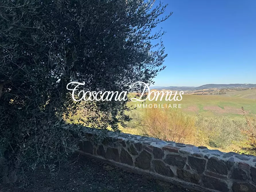 Immagine 33 di Casa colonica in vendita  a Asciano