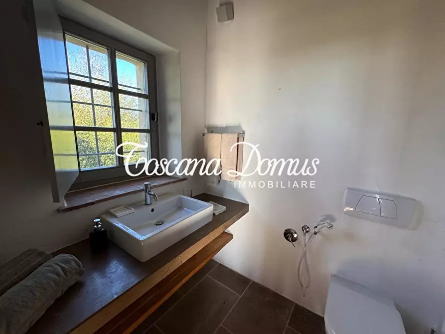 Immagine 57 di Casa colonica in vendita  a Asciano