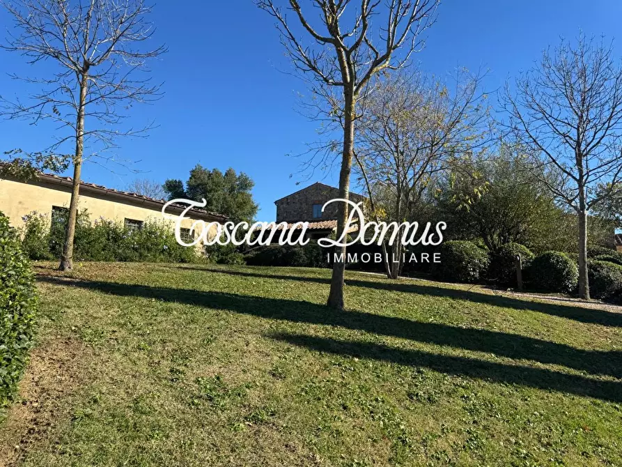 Immagine 46 di Casa colonica in vendita  a Asciano