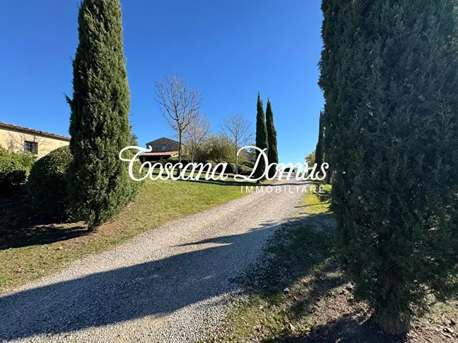 Immagine 48 di Casa colonica in vendita  a Asciano