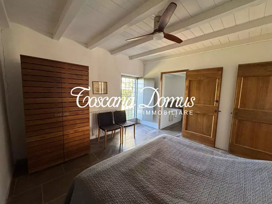 Immagine 60 di Casa colonica in vendita  a Asciano