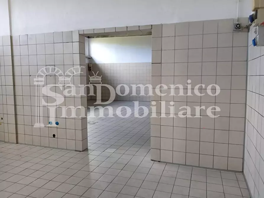 Immagine 5 di Capannone industriale in affitto  a San Giuliano Terme