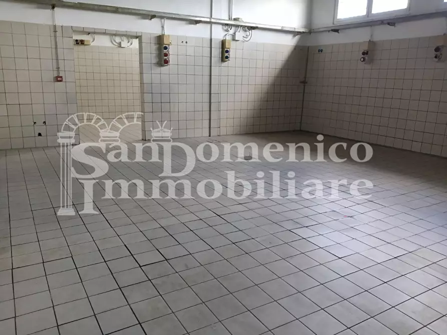 Immagine 7 di Capannone industriale in affitto  a San Giuliano Terme